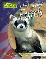 Black-Footed Ferret Book